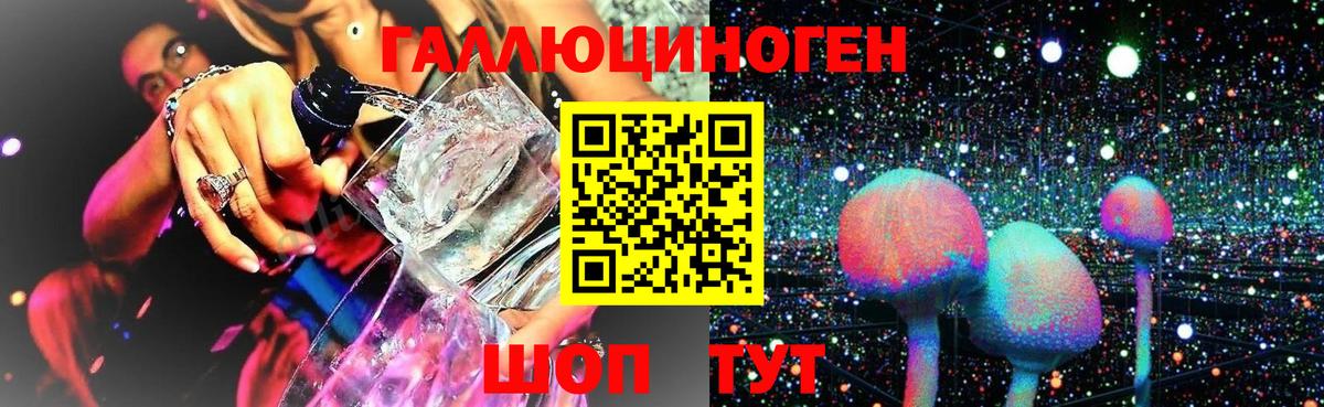 Галлюциногенные грибы Psilocybine cubensis  продажа наркотиков  Вход с VPN  Дербент  Галлюциногенные грибы GOLDEN TEACHER 